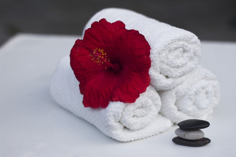 chambre-hote-CAUSSOLS-min_towel_hibiscus_clean_care_salon_spa_white_bath-869834